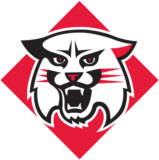 Davidson Wildcats iron ons